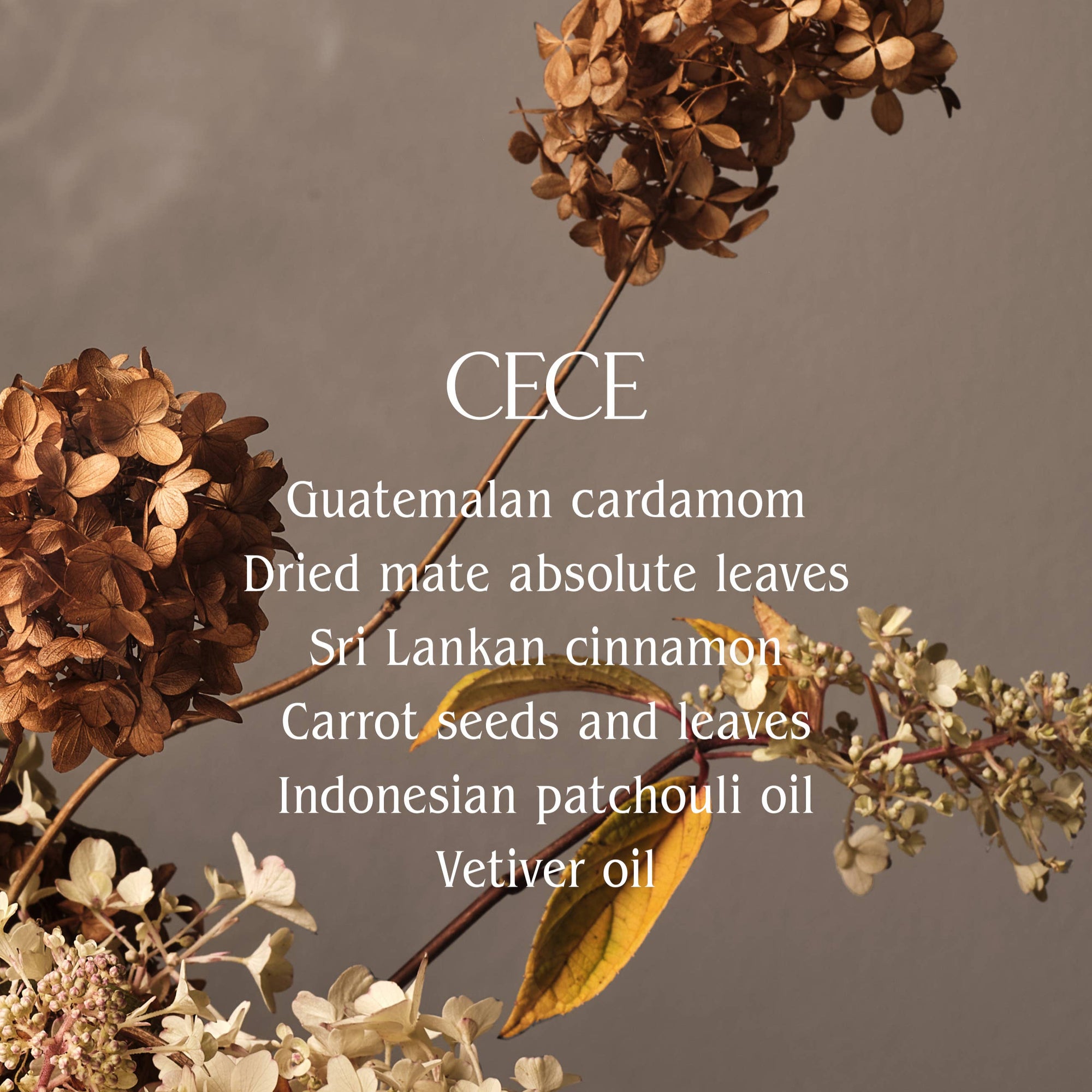 Black bottle of HOMECOURT dish soap with dried flowers on a neutral background