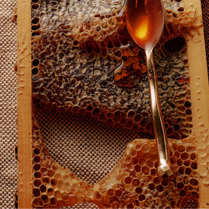 A honey comb with a spoon covered in honey laying on top