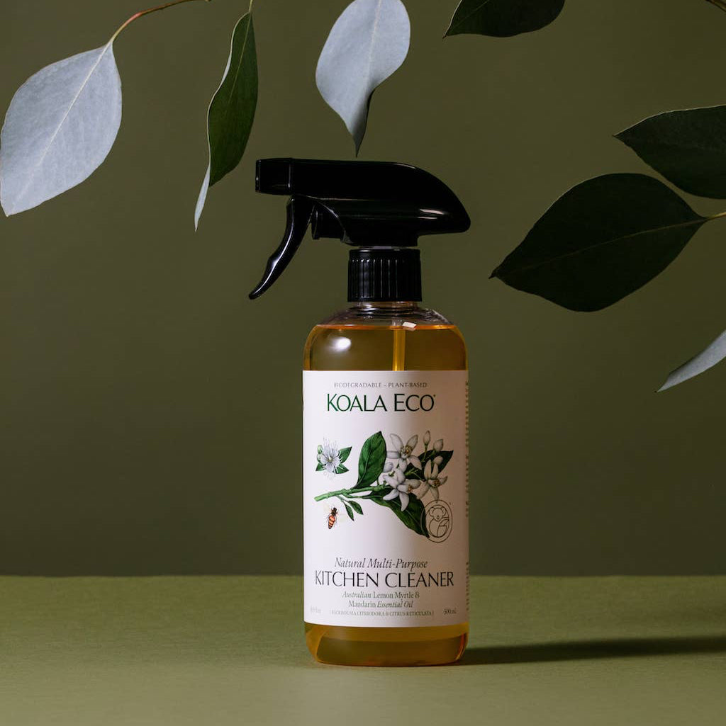 A bottle of Koala Eco kitchen cleaner with greenery on a green background. 
