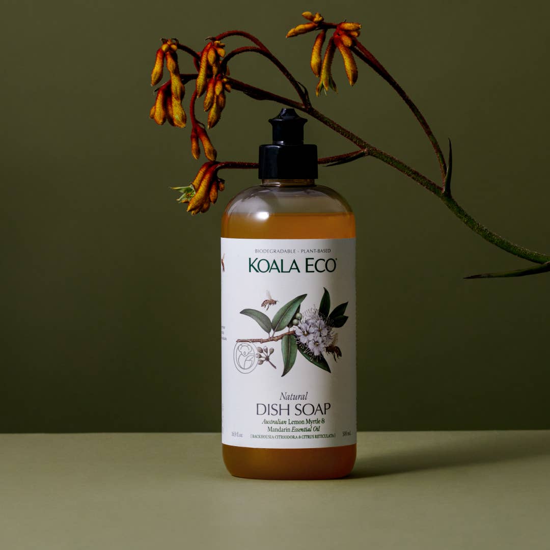 A bottle of koala eco dish soap with a branch above it, on a light green surface. 