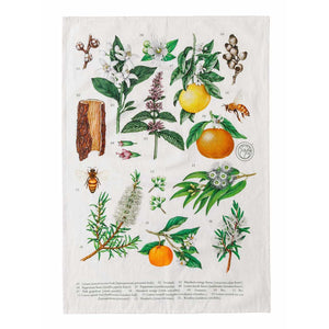 The koala eco tea towel, printed with botanicals and fruit