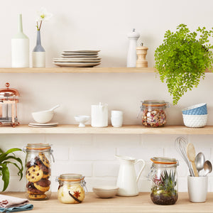 A kitchen with shelves with plants, dishes and le parfait glassware. 