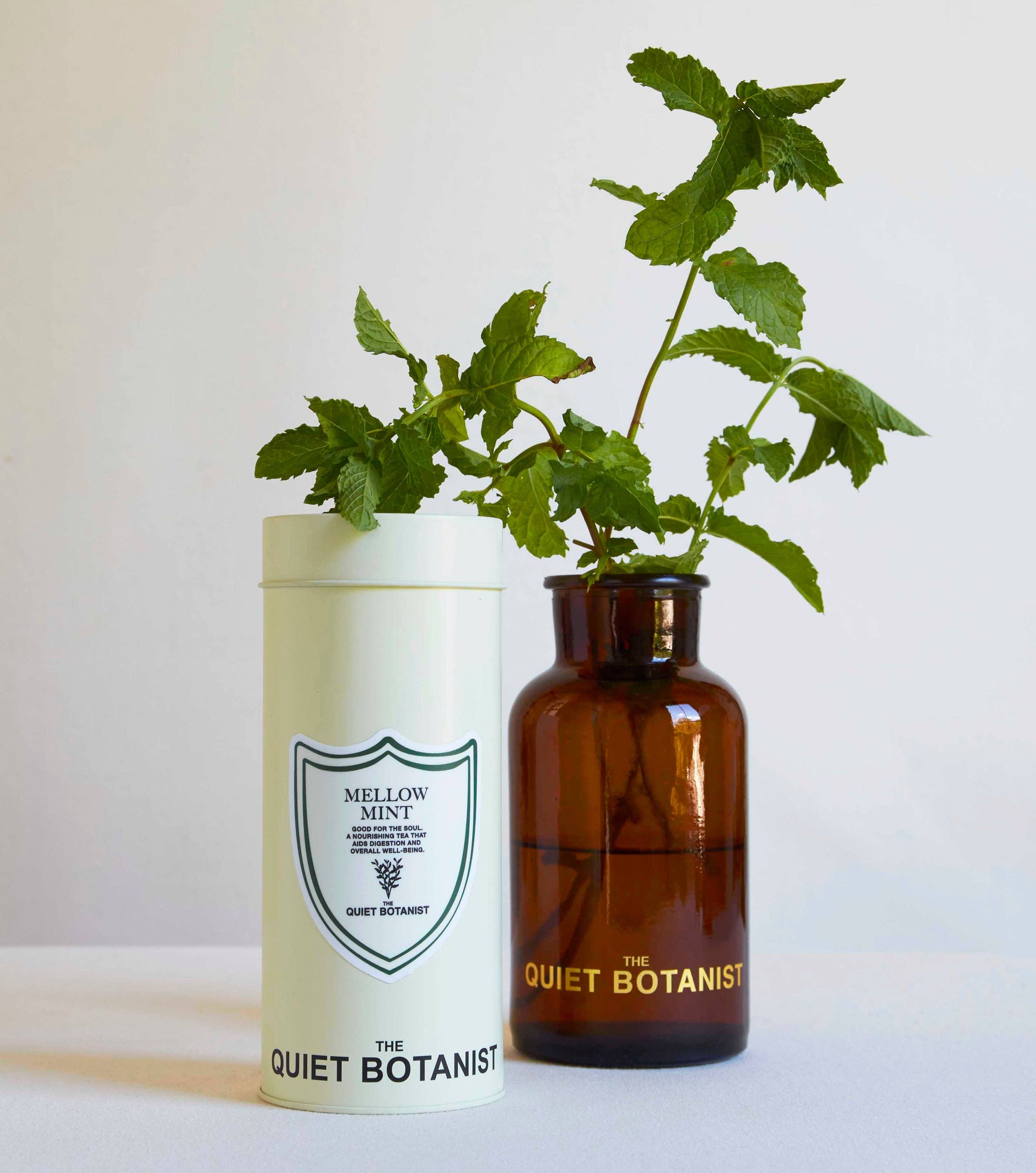 Two bottles with plants inside, one white and one brown, labeled 'The Quiet Botanist' on a light background.