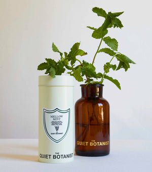 Two bottles with plants inside, one white and one brown, labeled 'The Quiet Botanist' on a light background.