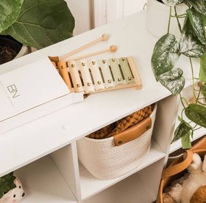 A musical instrument on a white counter