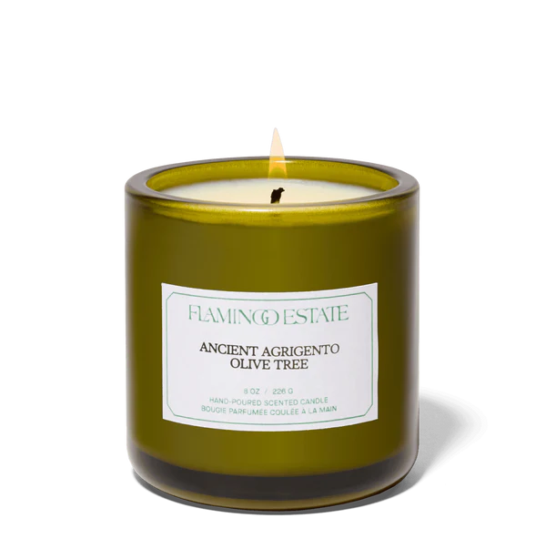 Flamingo Estate | Ancient Agrigento Olive Tree Candle
