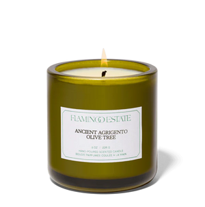 Flamingo Estate | Ancient Agrigento Olive Tree Candle