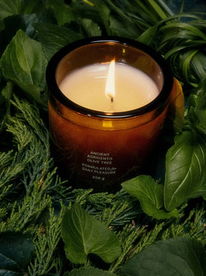 Flamingo Estate | Ancient Agrigento Olive Tree Candle