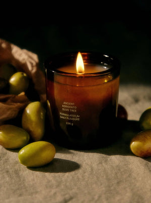 Flamingo Estate | Ancient Agrigento Olive Tree Candle