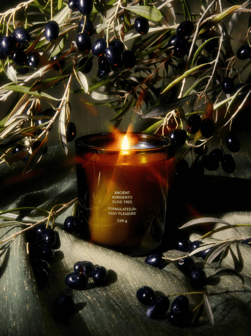 Flamingo Estate | Ancient Agrigento Olive Tree Candle