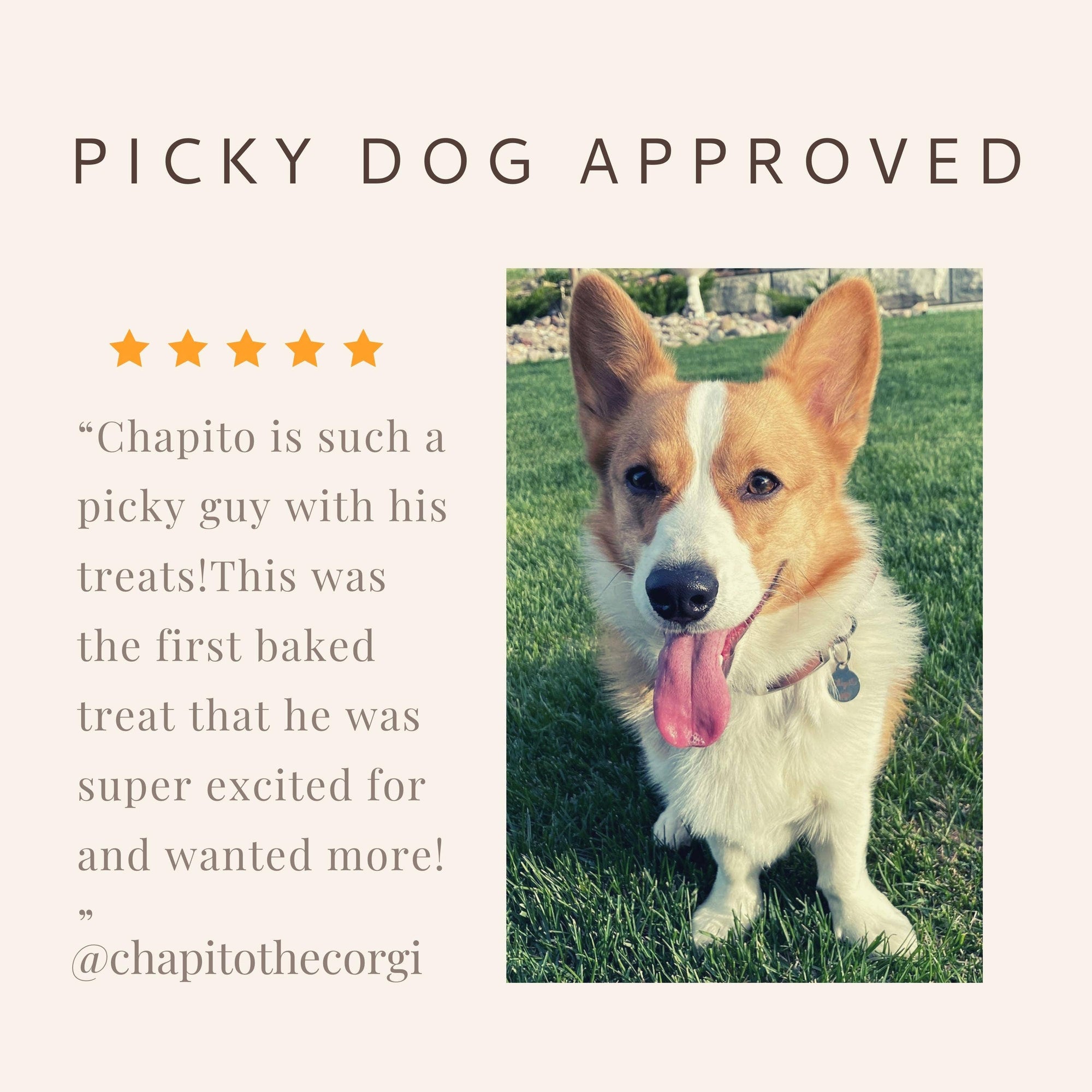 The balance and calm dog treats are picky dog approved!