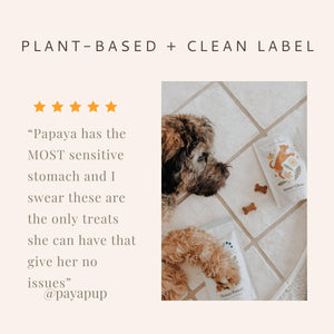 Flower power treats are suitable for pups with sensitive tummies