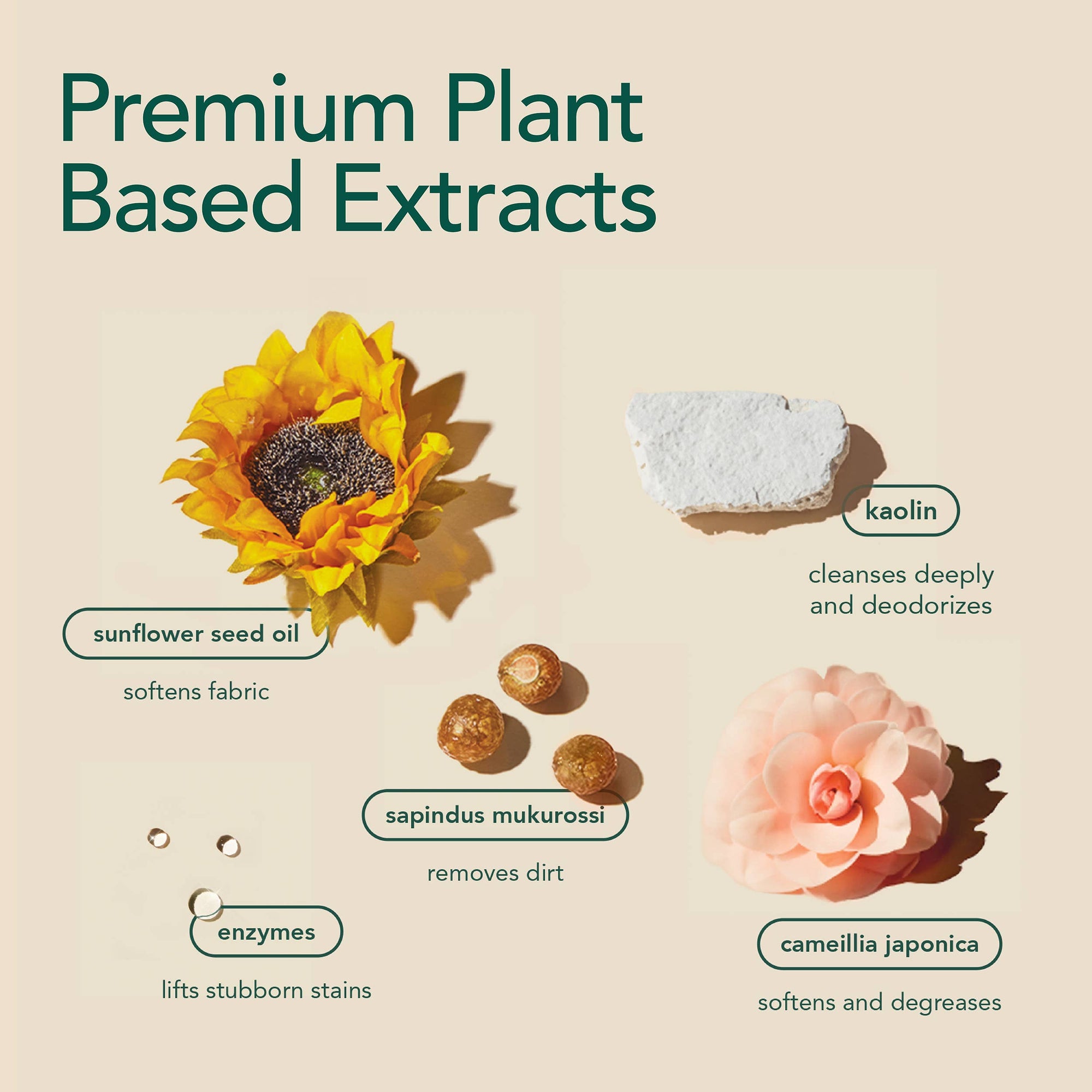 An infographic for kind laundry. Sunflower seed oil softens fabric, enzymes lift stubborn stains, camellia softens and degreases, sapindus mukurossi removes dirt, and kaolin cleans deeply and deodorizes. 