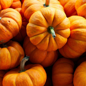 Close-up of a pile of orange pumpkins