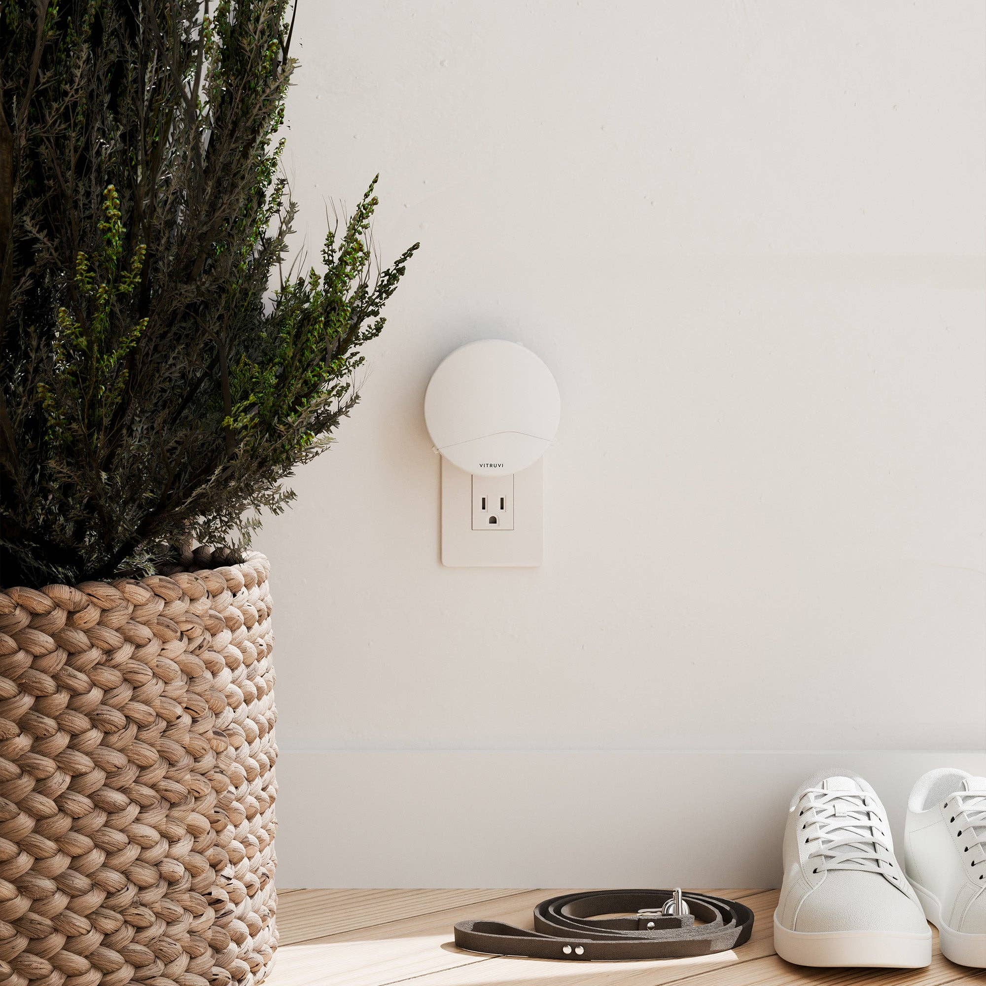 A Vitruvi Push plugin wall diffuser on a white wall with a plant and sneakers nearby