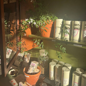 Display of plants and bottles in a store setting