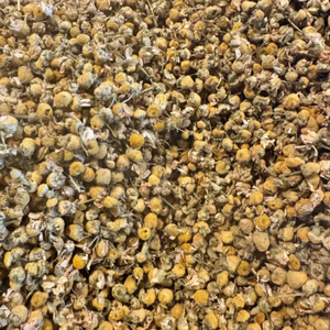 Close-up of dried yellow and white flowers