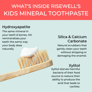 What's inside rise well's mineral toothpaste infographic