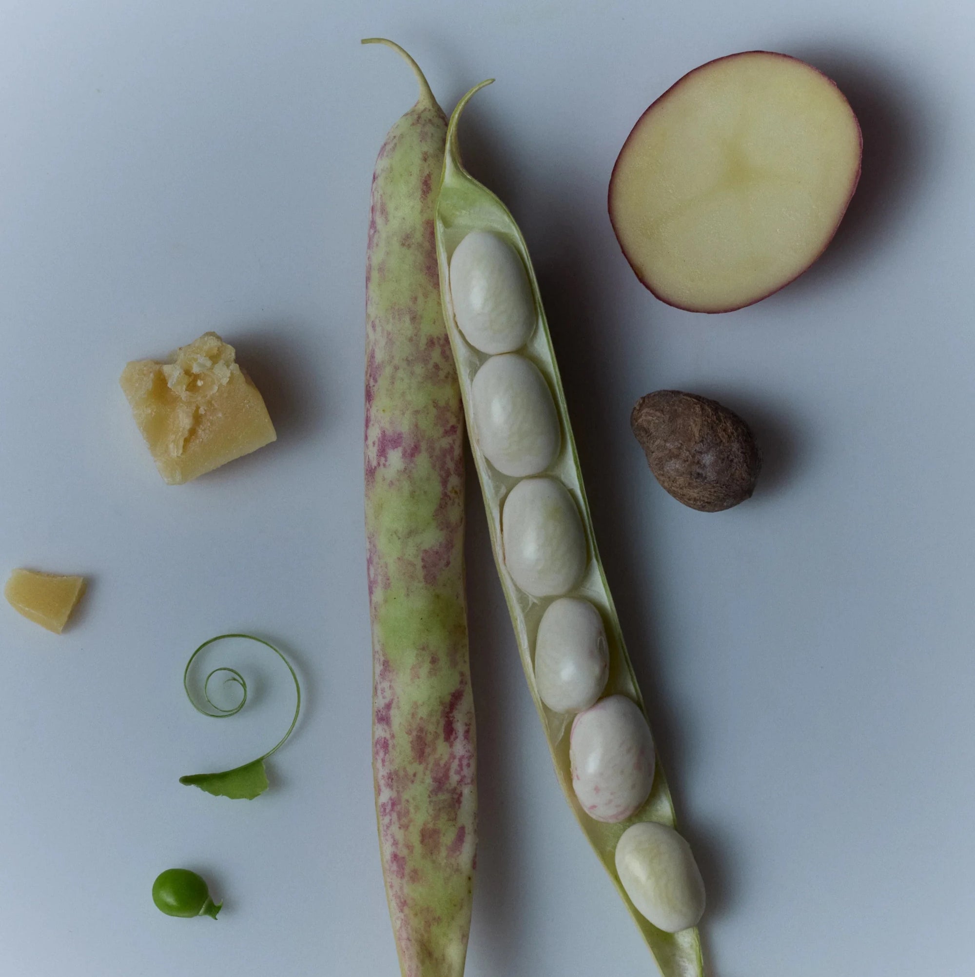 Ingredients featured in the ROZ Evergreen styling cream