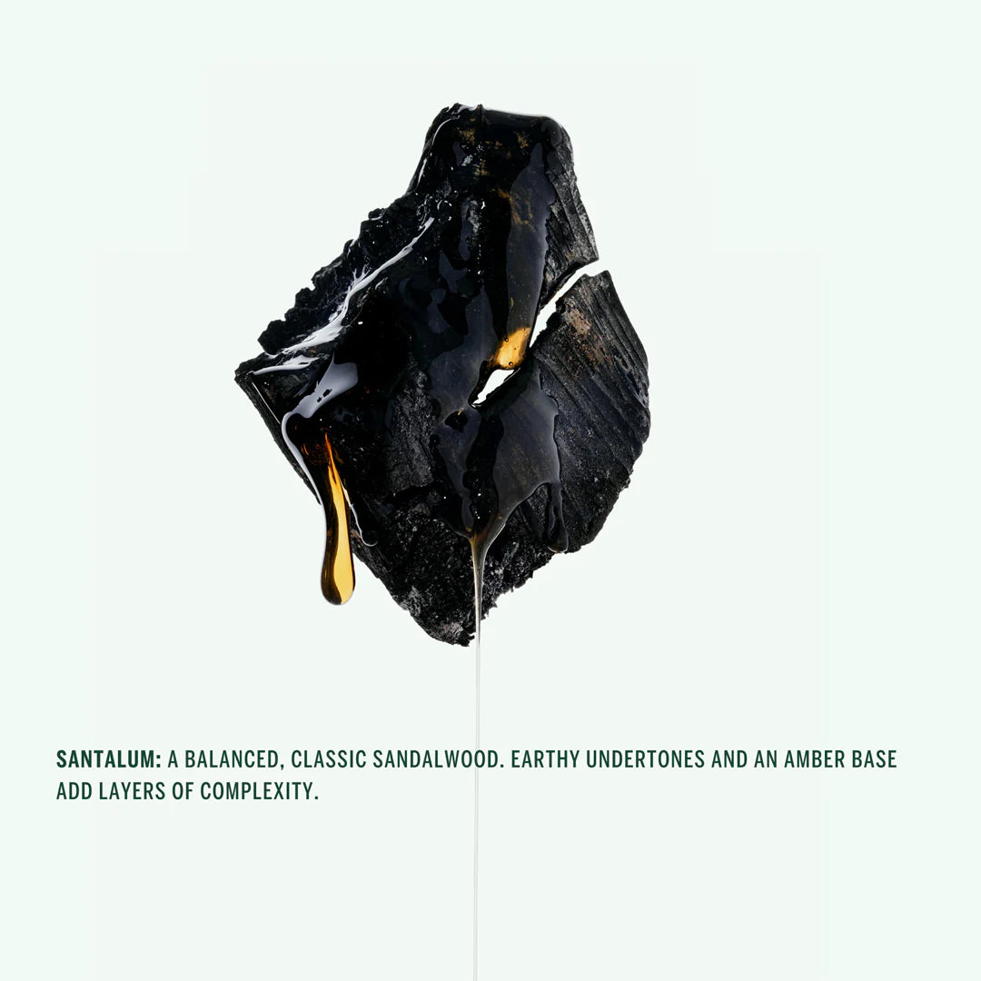 A stick deodorant with a green cap and body, labeled 'Corpus | Santalum Deodorant'.