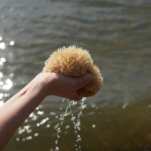 A person holding a sea sponge above the ocean