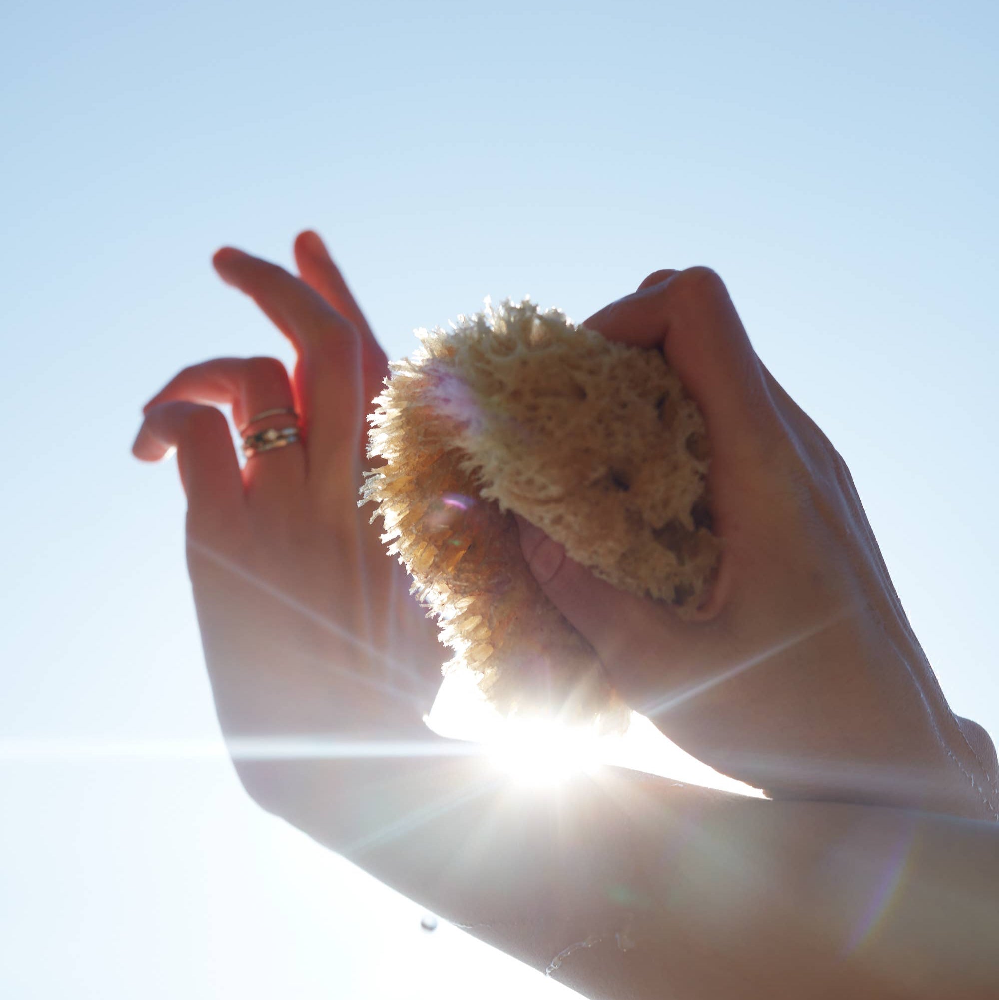 Two hands holding a sea sponge, with the sky in the background