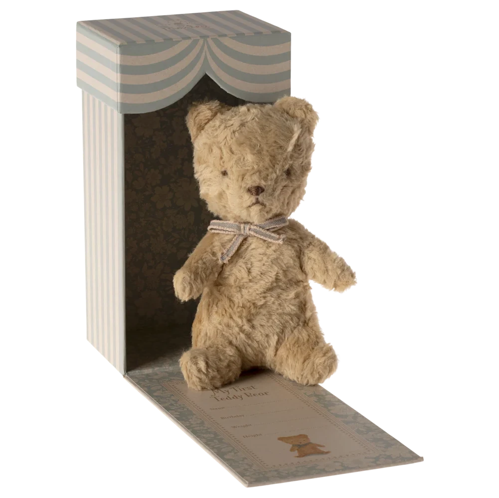 Teddy bear in a decorative box with a striped top on a white background