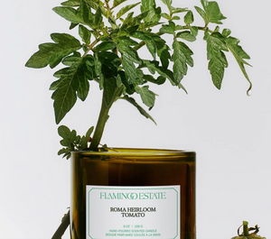 A Flamingo Estate Hierloom Roma Tomato Candle with a tomato plant