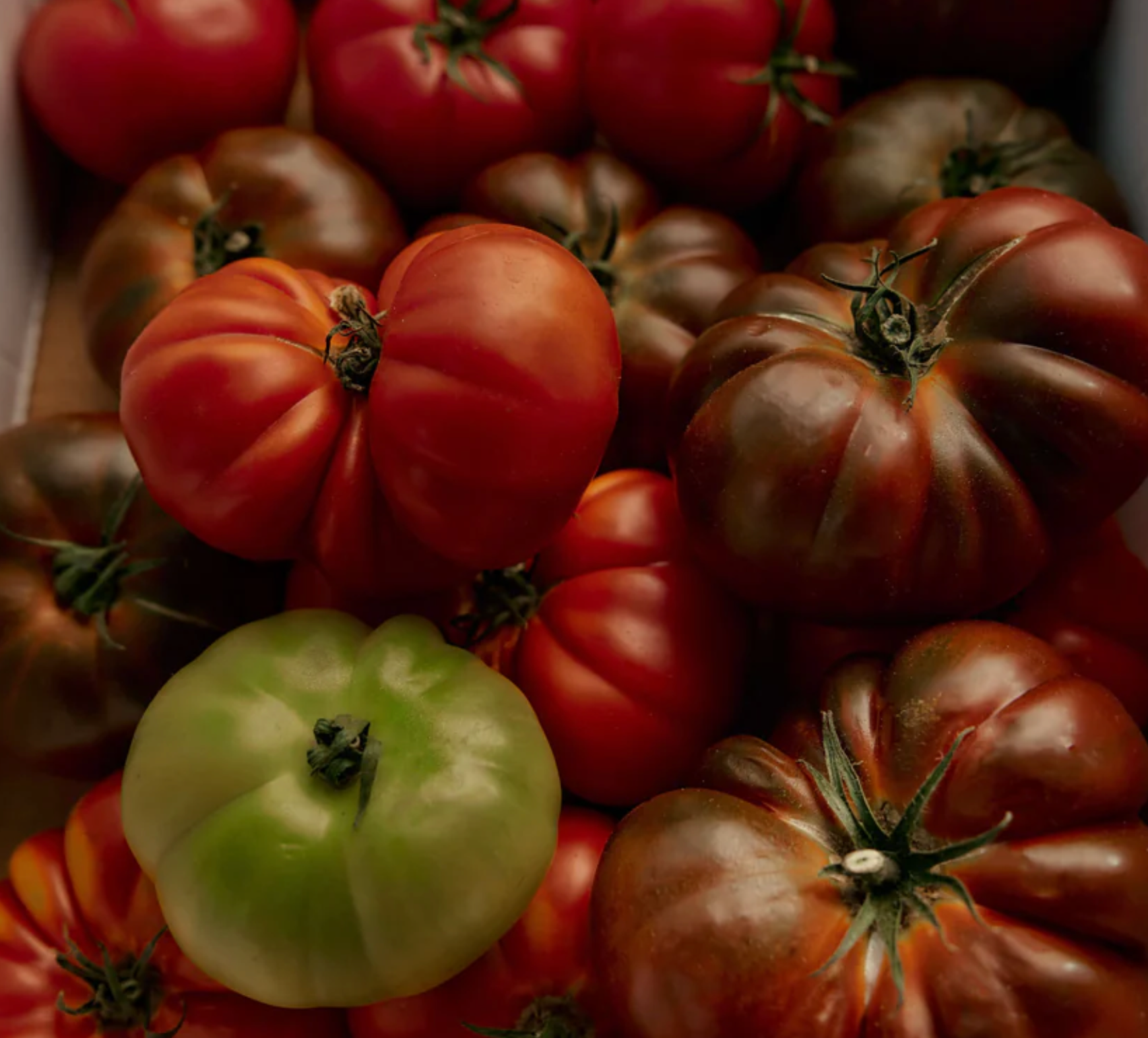 The roma tomato candle, by Flamingo Estate. 